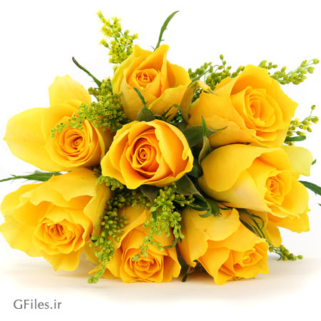 اخبار و اطلاعیه